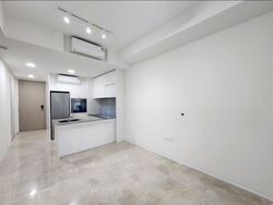 Amber Park (D15), Condominium #517516501